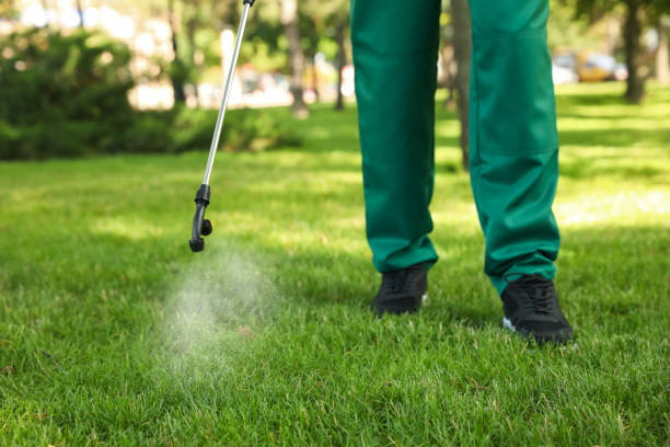 Best Flea Control Services  in Winchester, OH