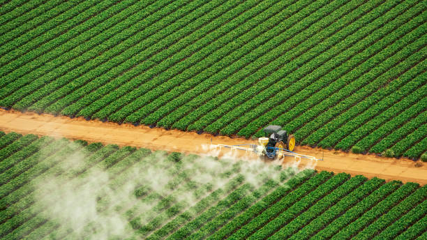 Best Ant Control Services  in Winchester, OH