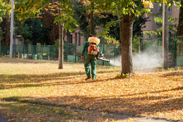 Best Pest Control for Homes  in Winchester, OH